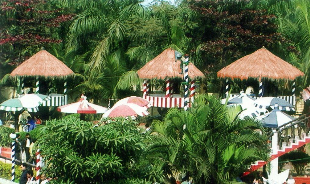 Palm Village Resort Kalkutta Kültér fotó