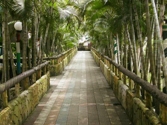 Palm Village Resort Kalkutta Kültér fotó